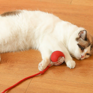 Indoor Cat Interactive Cat Toy Ball