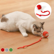 Load image into Gallery viewer, Indoor Cat Interactive Cat Toy Ball