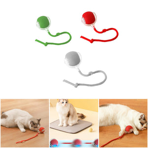 Indoor Cat Interactive Cat Toy Ball