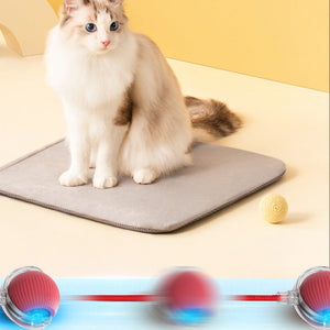 Indoor Cat Interactive Cat Toy Ball