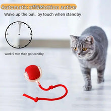 Load image into Gallery viewer, Indoor Cat Interactive Cat Toy Ball