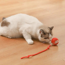 Load image into Gallery viewer, Indoor Cat Interactive Cat Toy Ball