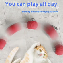 Load image into Gallery viewer, Indoor Cat Interactive Cat Toy Ball