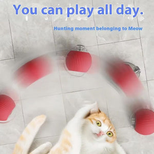 Indoor Cat Interactive Cat Toy Ball