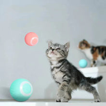 Load image into Gallery viewer, Smart Cat Interactive Ball Toys