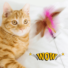 Load image into Gallery viewer, Interactive Funny Cat Toys