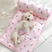 Load image into Gallery viewer, Ice Silk Cooling Mat for Dogs &amp; Cats