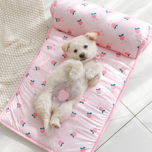 Ice Silk Cooling Mat for Dogs & Cats