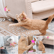 Load image into Gallery viewer, Interactive Funny Cat Toys