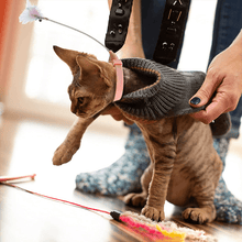 Load image into Gallery viewer, Interactive Funny Cat Toys