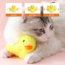 Load image into Gallery viewer, Cat Toys Rechargeable Flapping Duck