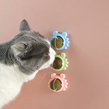 Load image into Gallery viewer, Catnip Wall Ball Edible Cat Toys