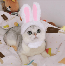 Load image into Gallery viewer, Cat Bunny Ears🔥