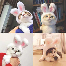 Load image into Gallery viewer, Cat Bunny Ears🔥