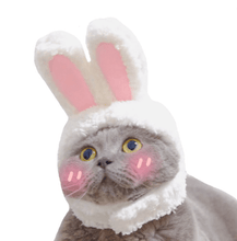 Load image into Gallery viewer, Cat Bunny Ears🔥